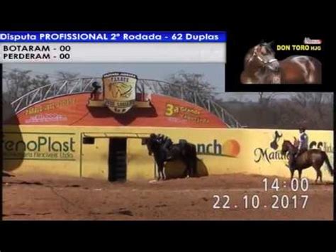 portalvaquejada|transmissão de vaquejada ao vivo.